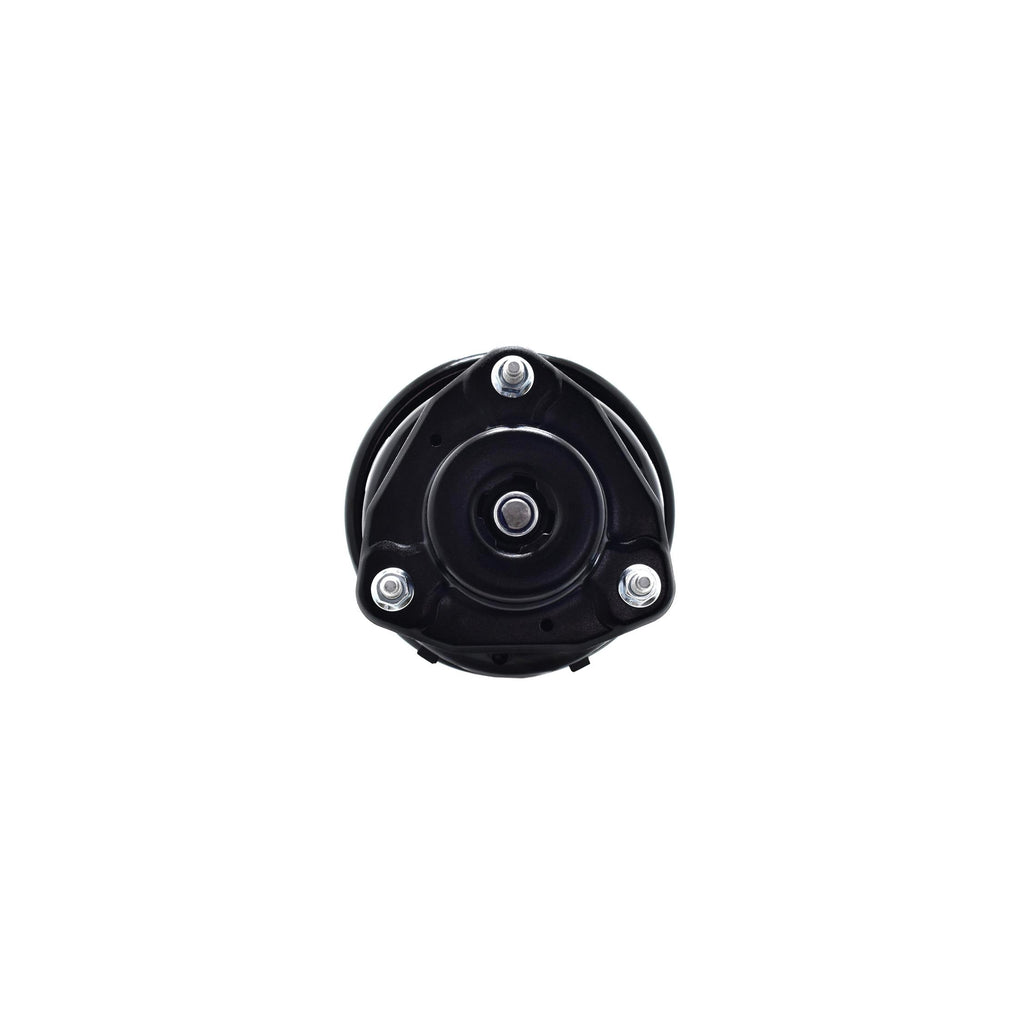 Suspension Strut and Coil Spring Assembly LS54-95641R