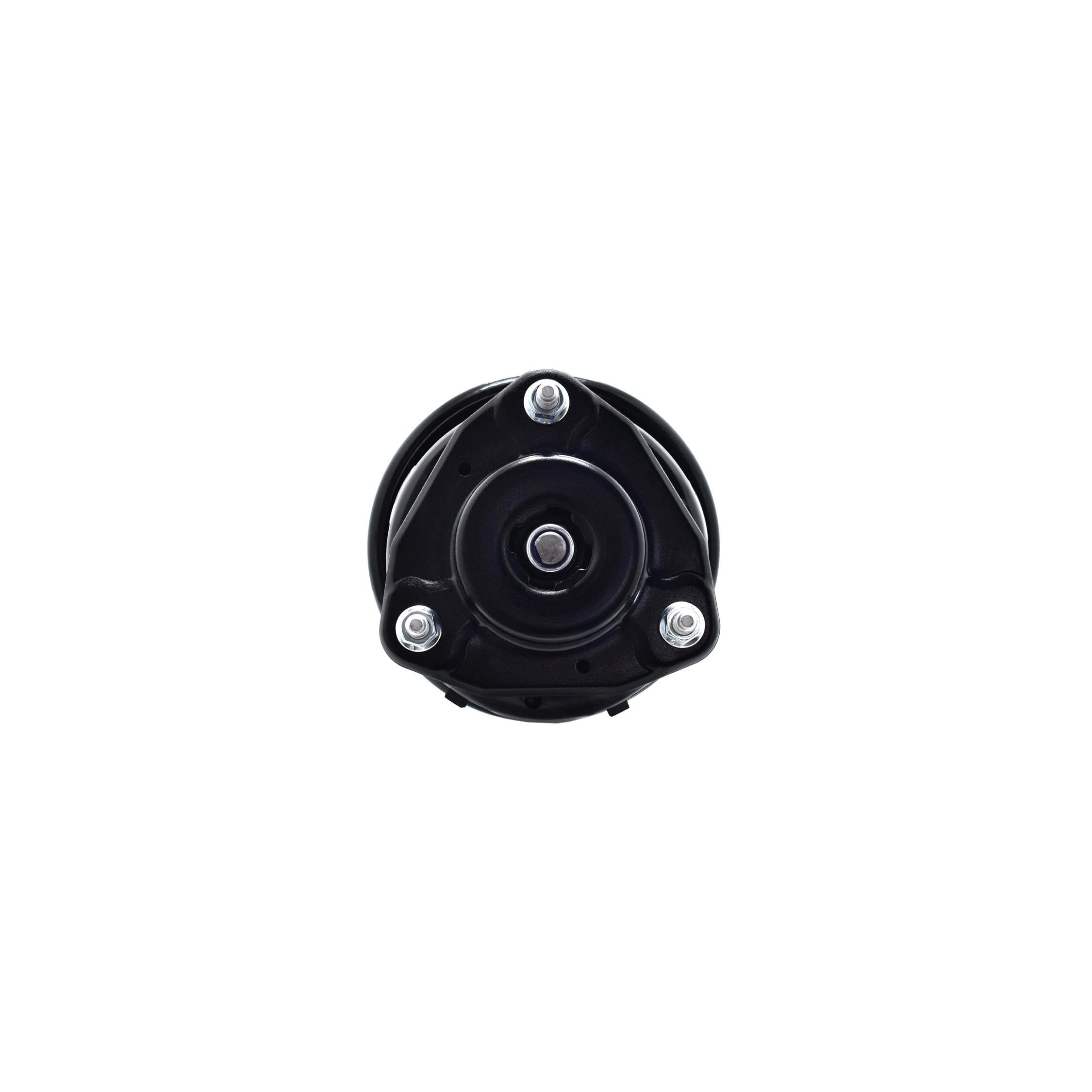 Suspension Strut and Coil Spring Assembly LS54-95641R