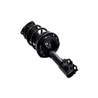 Suspension Strut and Coil Spring Assembly LS54-95641R