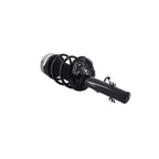 Suspension Strut and Coil Spring Assembly LS54-95651L