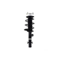 Suspension Strut and Coil Spring Assembly LS54-95651R