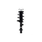 Suspension Strut and Coil Spring Assembly LS54-95651R
