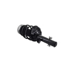 Suspension Strut and Coil Spring Assembly LS54-95651R