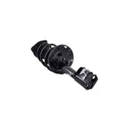 Suspension Strut and Coil Spring Assembly LS54-95661L
