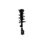 Suspension Strut and Coil Spring Assembly LS54-95661R
