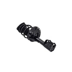 Suspension Strut and Coil Spring Assembly LS54-95661R