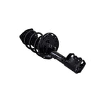 Suspension Strut and Coil Spring Assembly LS54-95671L