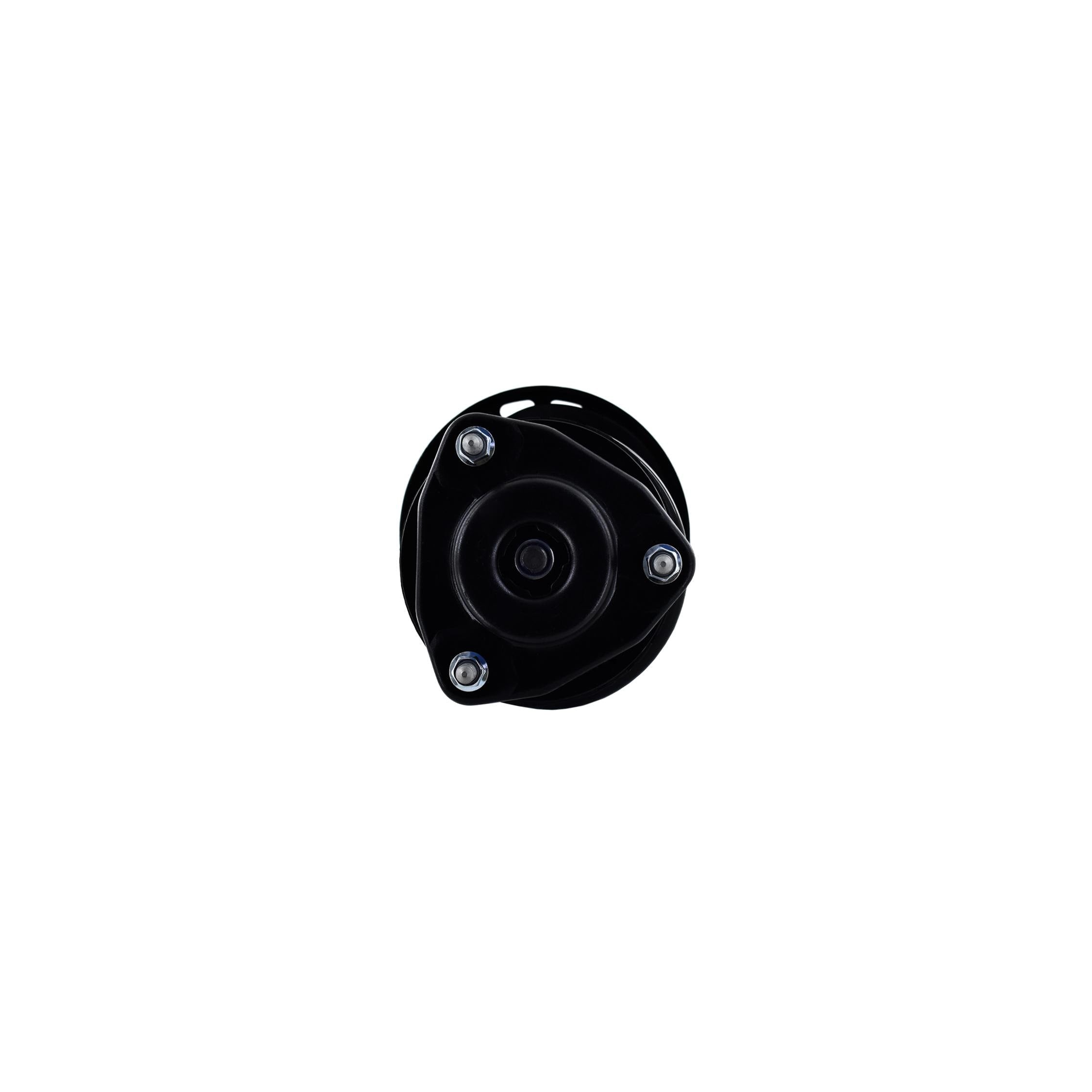 Suspension Strut and Coil Spring Assembly LS54-95671R