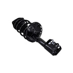 Suspension Strut and Coil Spring Assembly LS54-95671R