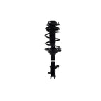 Strut Assembly LS54-95691L