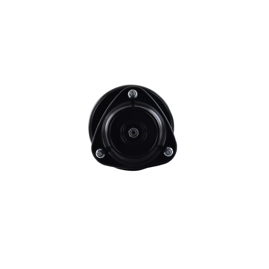 Strut Assembly LS54-95691L
