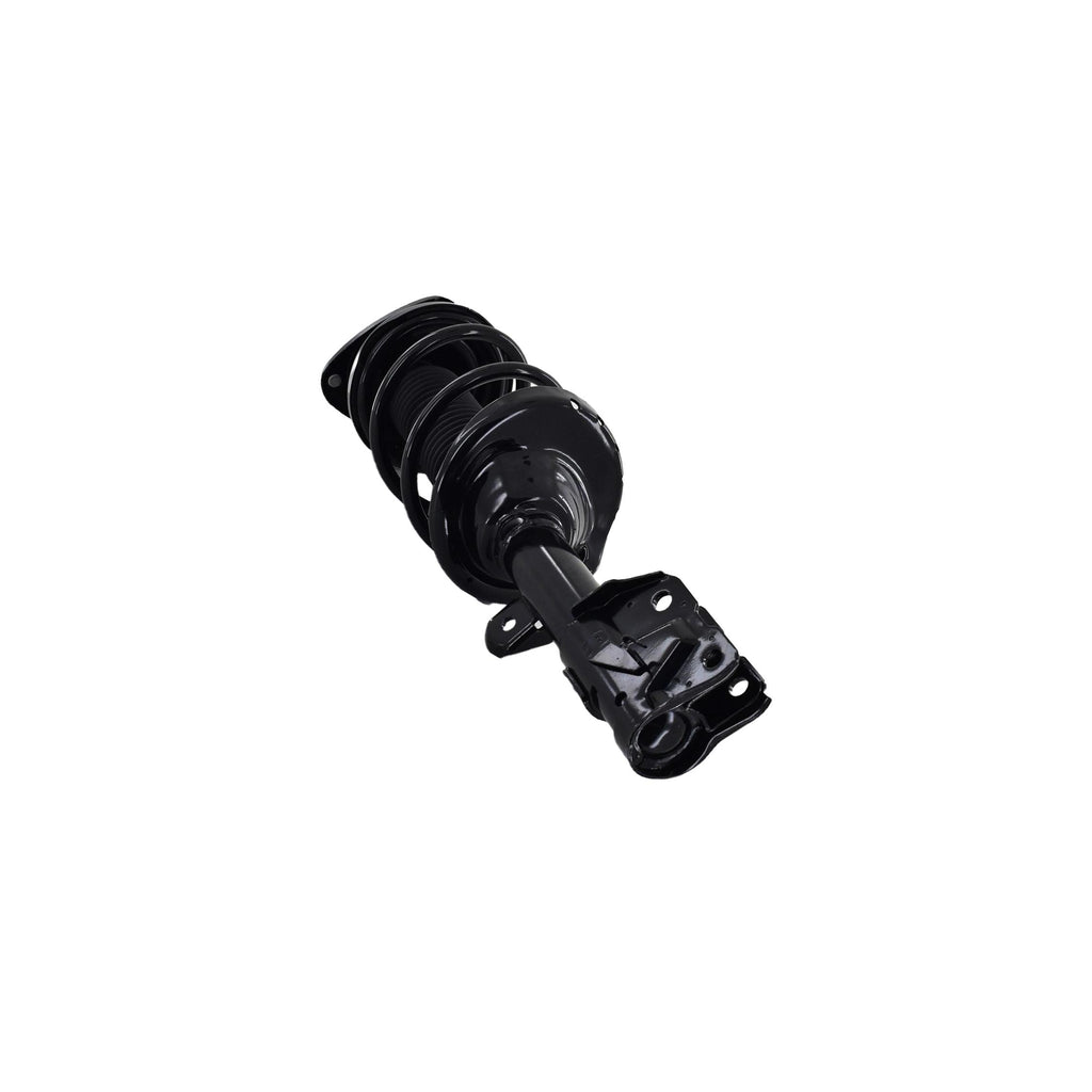 Strut Assembly LS54-95691L