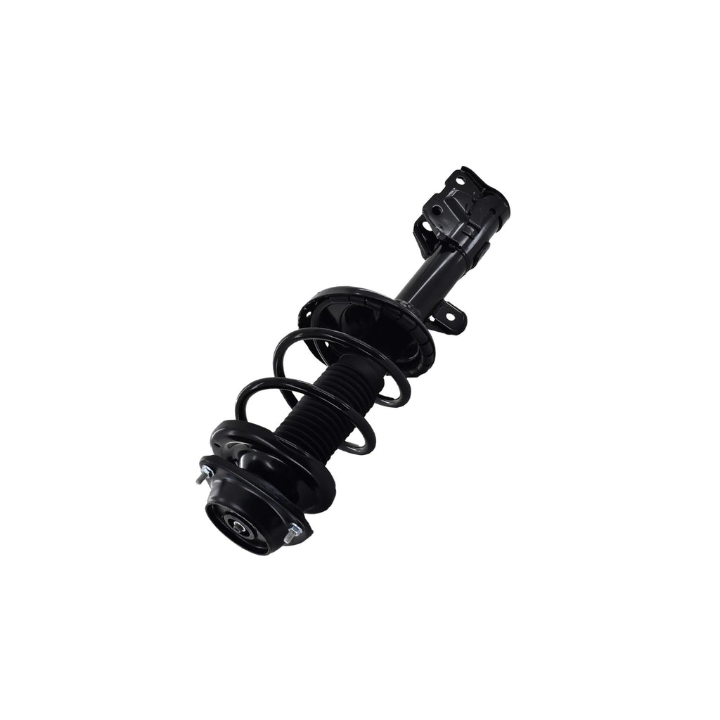 Strut Assembly LS54-95691L