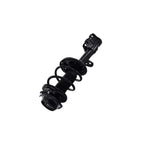 Strut Assembly LS54-95691L