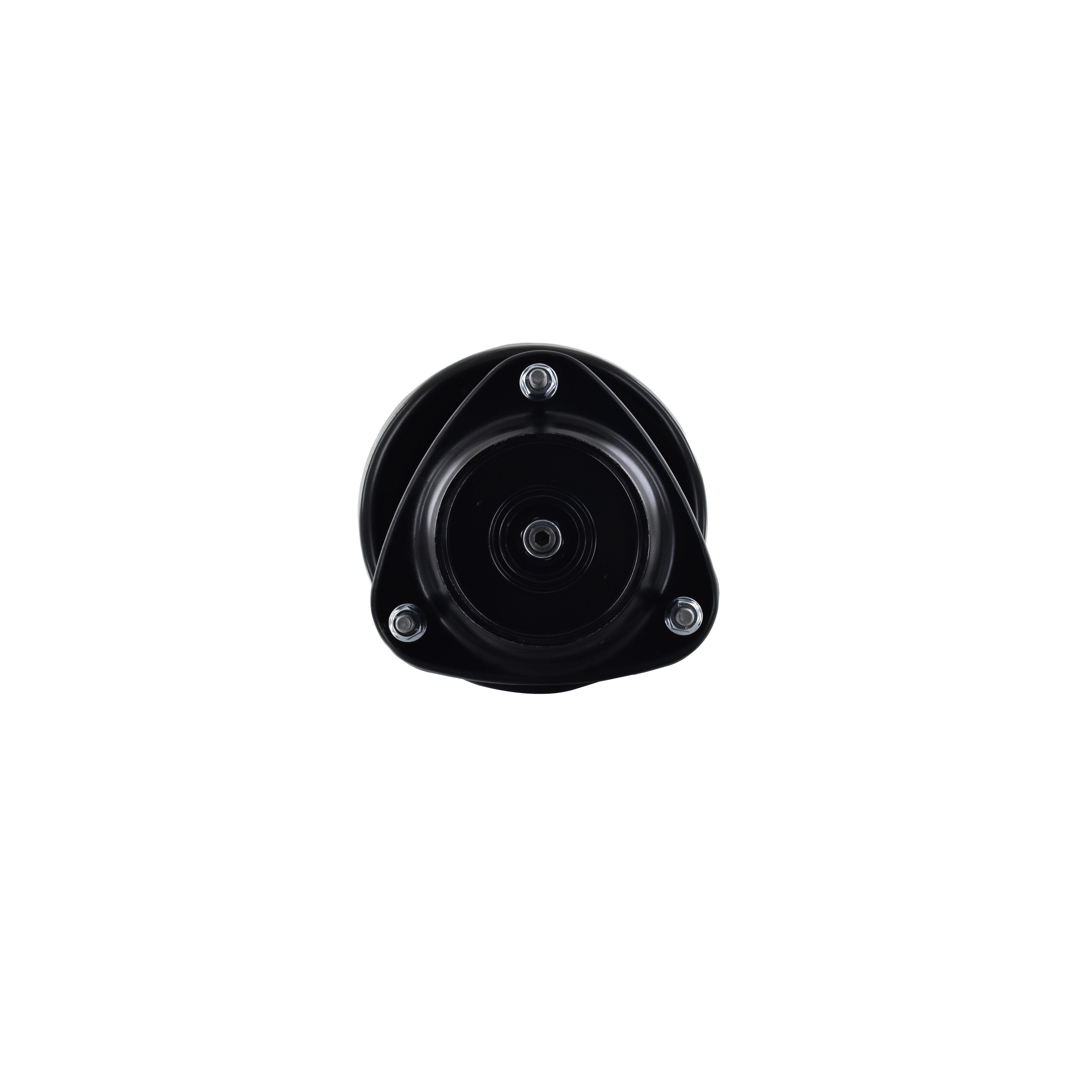 Strut Assembly LS54-95691R