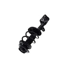 Strut Assembly LS54-95691R