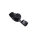 Strut Assembly LS54-95711L