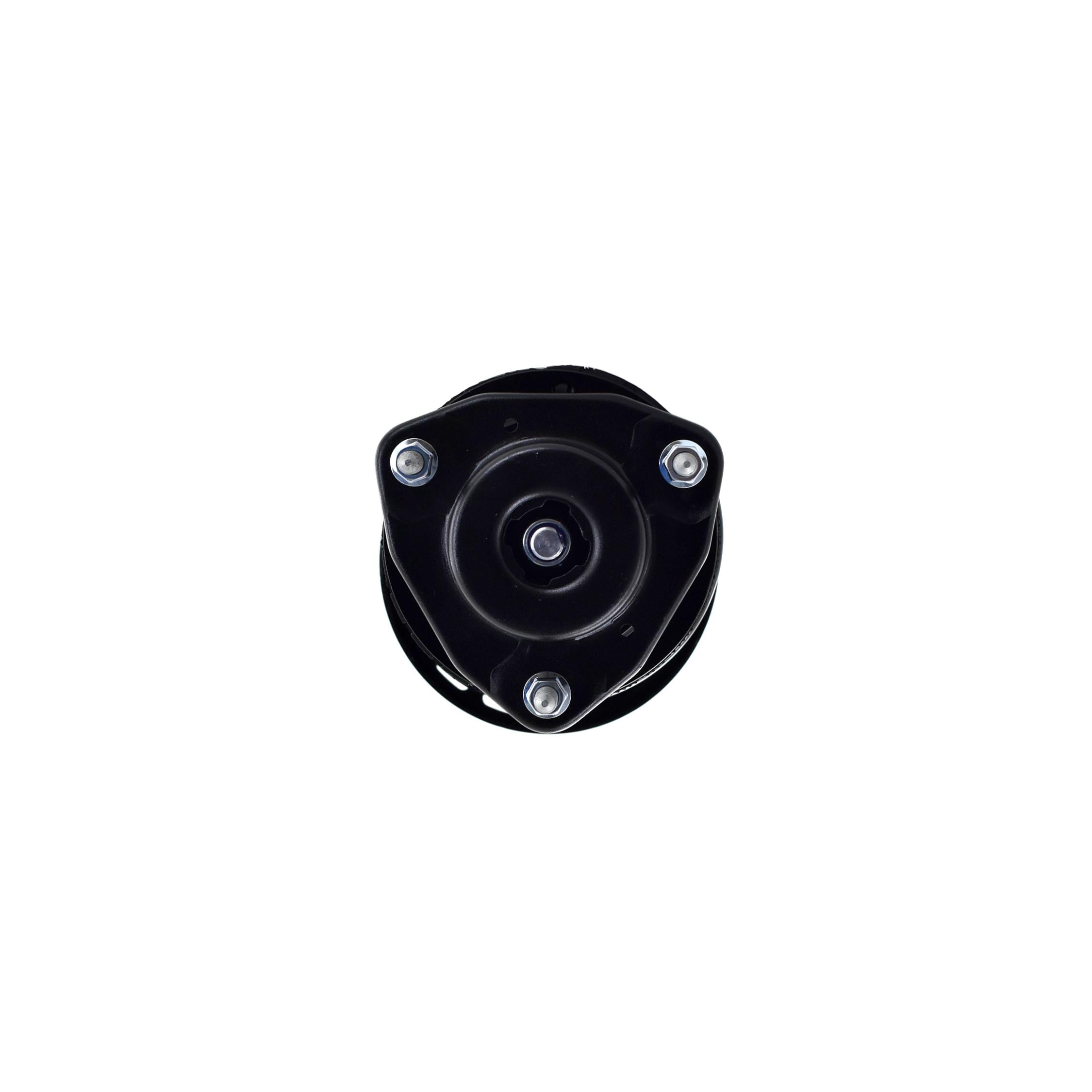 Strut Assembly LS54-95711R