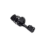 Strut Assembly LS54-95711R