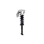 Strut Assembly LS54-95721L