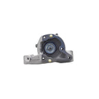 Strut Assembly LS54-95721L