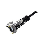 Strut Assembly LS54-95721L