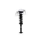 Strut Assembly LS54-95721R