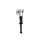 Strut Assembly LS54-95721R