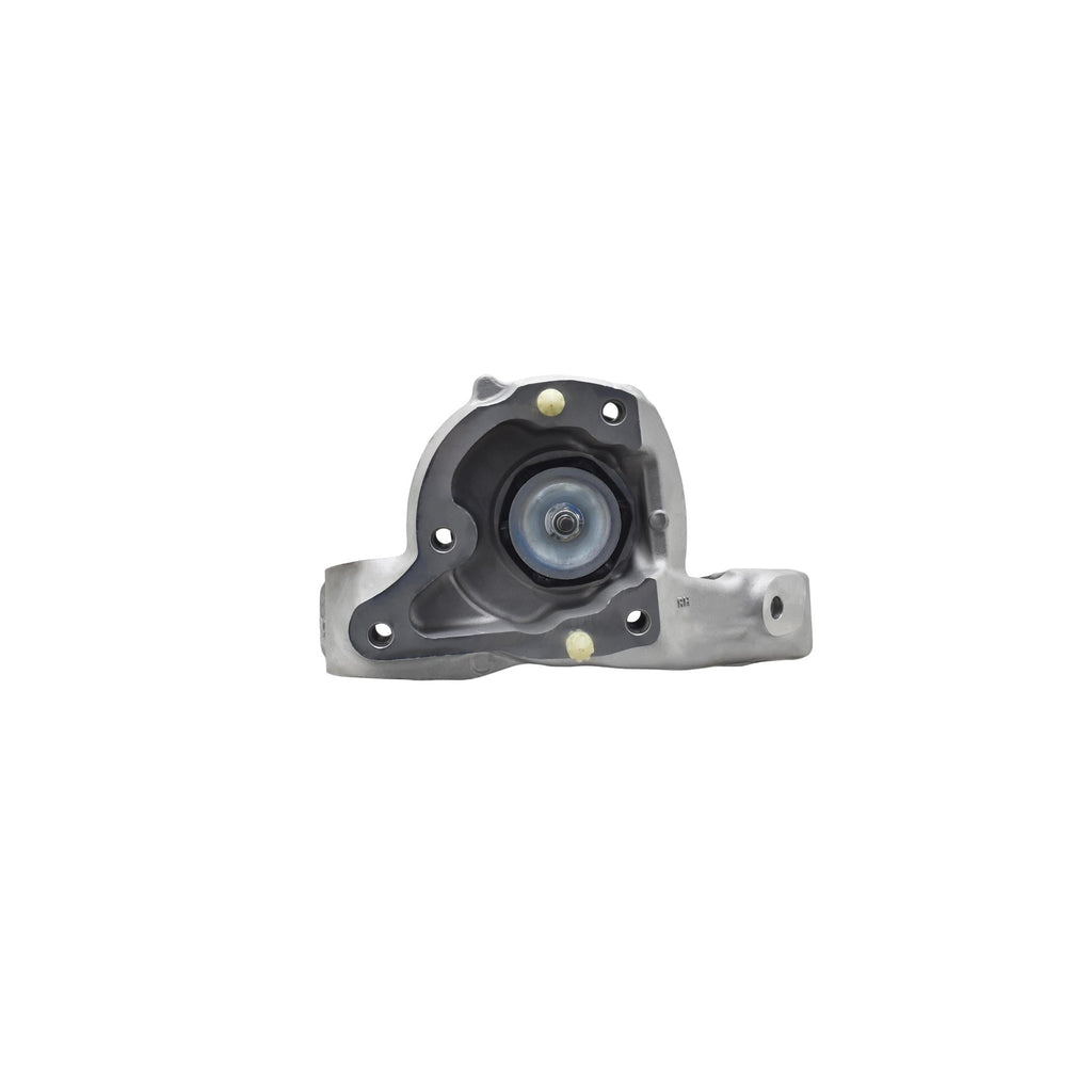 Strut Assembly LS54-95721R
