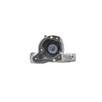 Strut Assembly LS54-95721R