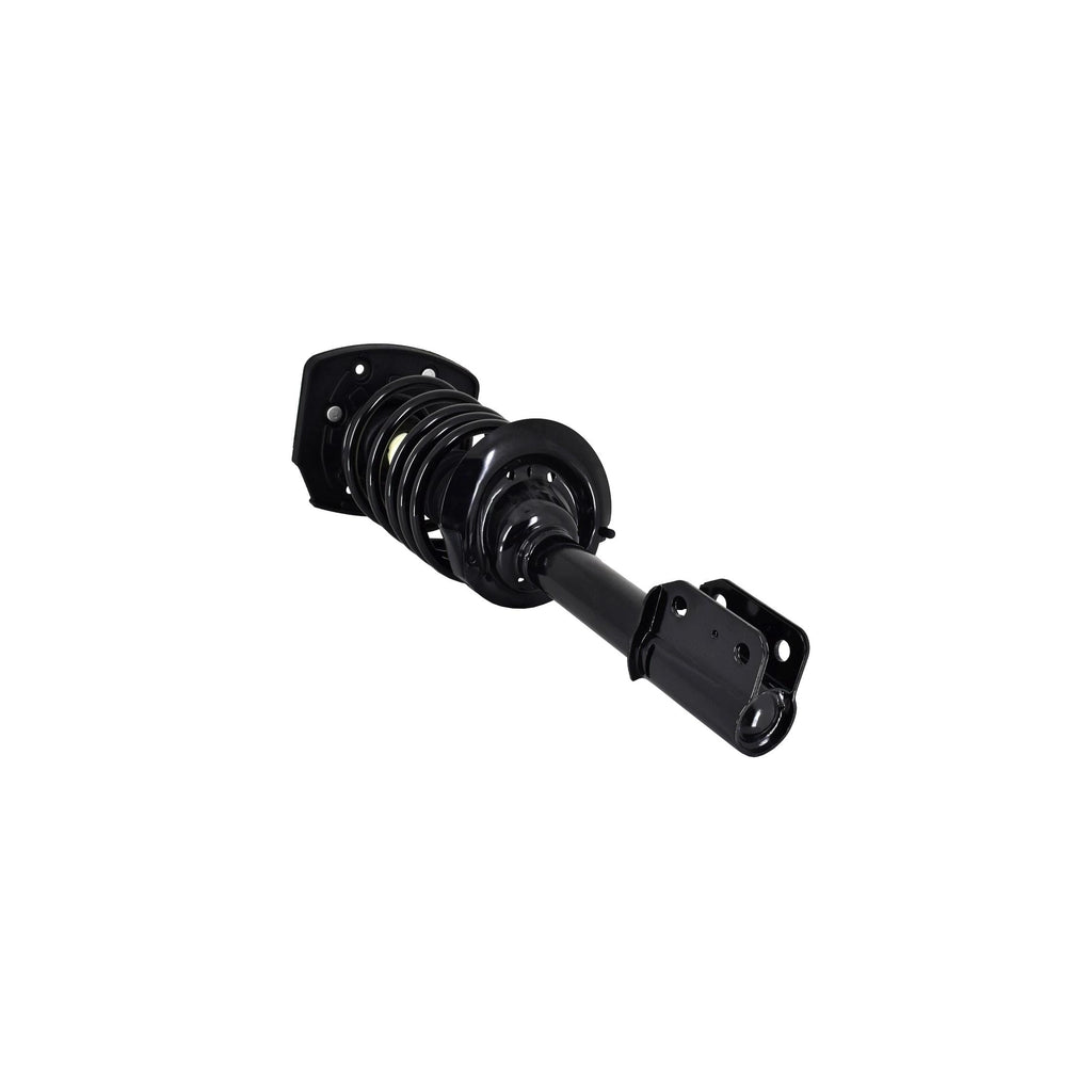 Loaded Strut and Coil Spring Assembly LS54-95732R