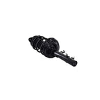 Suspension Strut and Coil Spring Assembly LS54-95751R