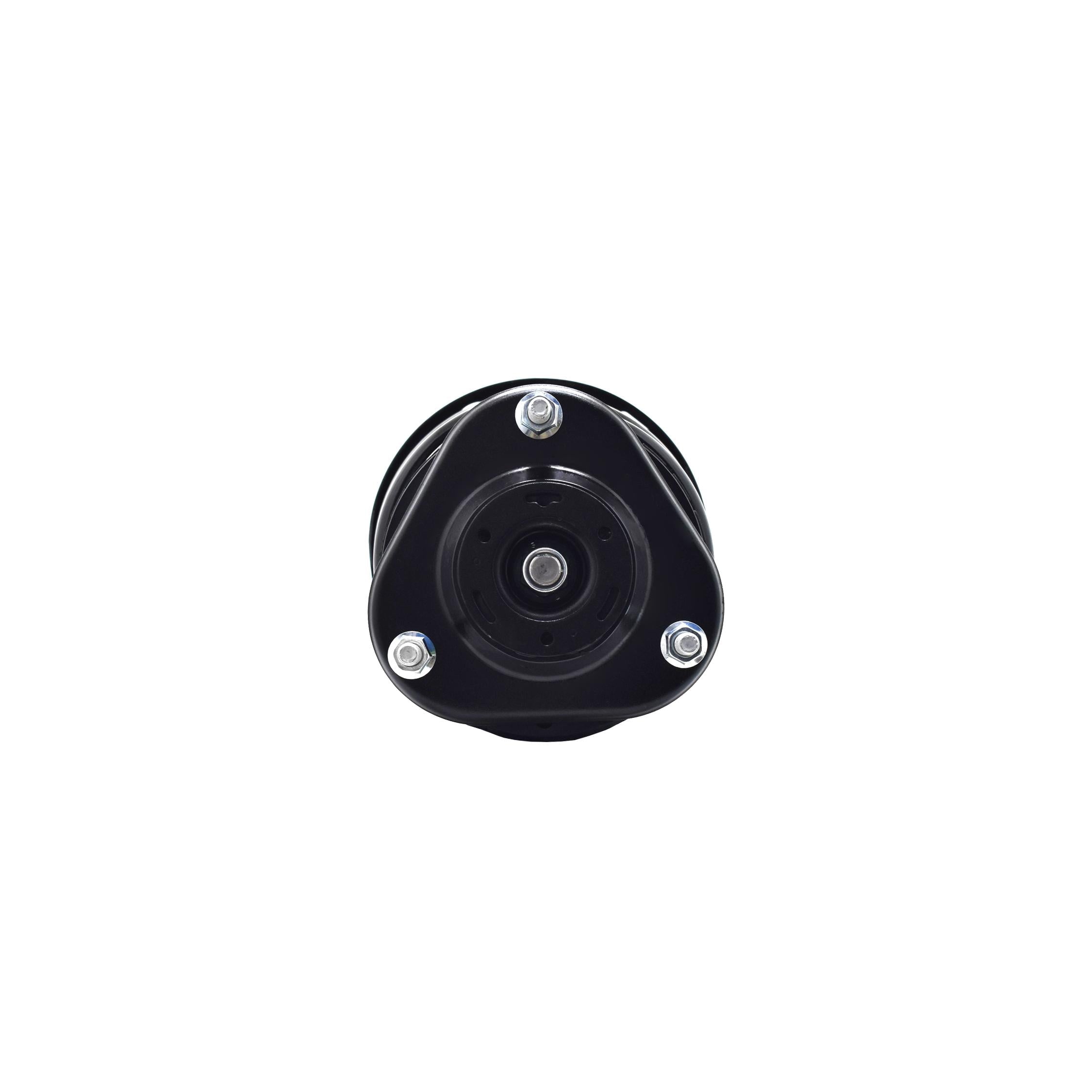 Suspension Strut and Coil Spring Assembly LS54-95771R