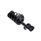 Suspension Strut and Coil Spring Assembly LS54-95771R