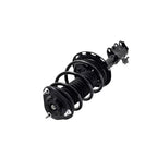Suspension Strut and Coil Spring Assembly LS54-95771R