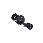 Suspension Strut and Coil Spring Assembly LS54-95781L