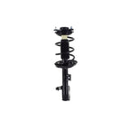 Suspension Strut and Coil Spring Assembly LS54-95781R