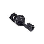 Suspension Strut and Coil Spring Assembly LS54-95781R