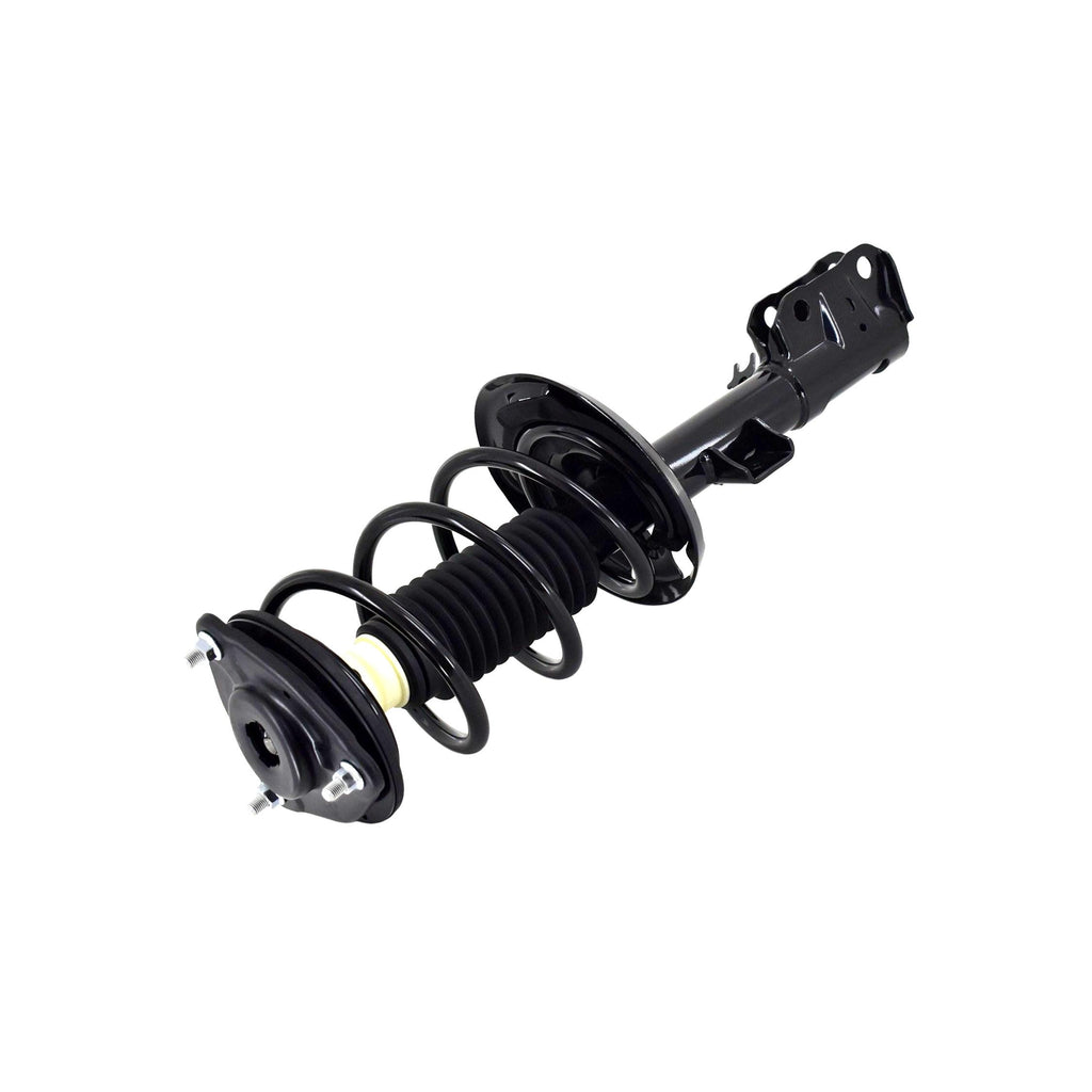Suspension Strut and Coil Spring Assembly LS54-95781R