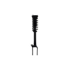 Suspension Strut and Coil Spring Assembly LS54-95791B