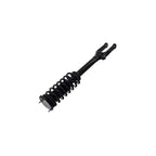 Suspension Strut and Coil Spring Assembly LS54-95791B
