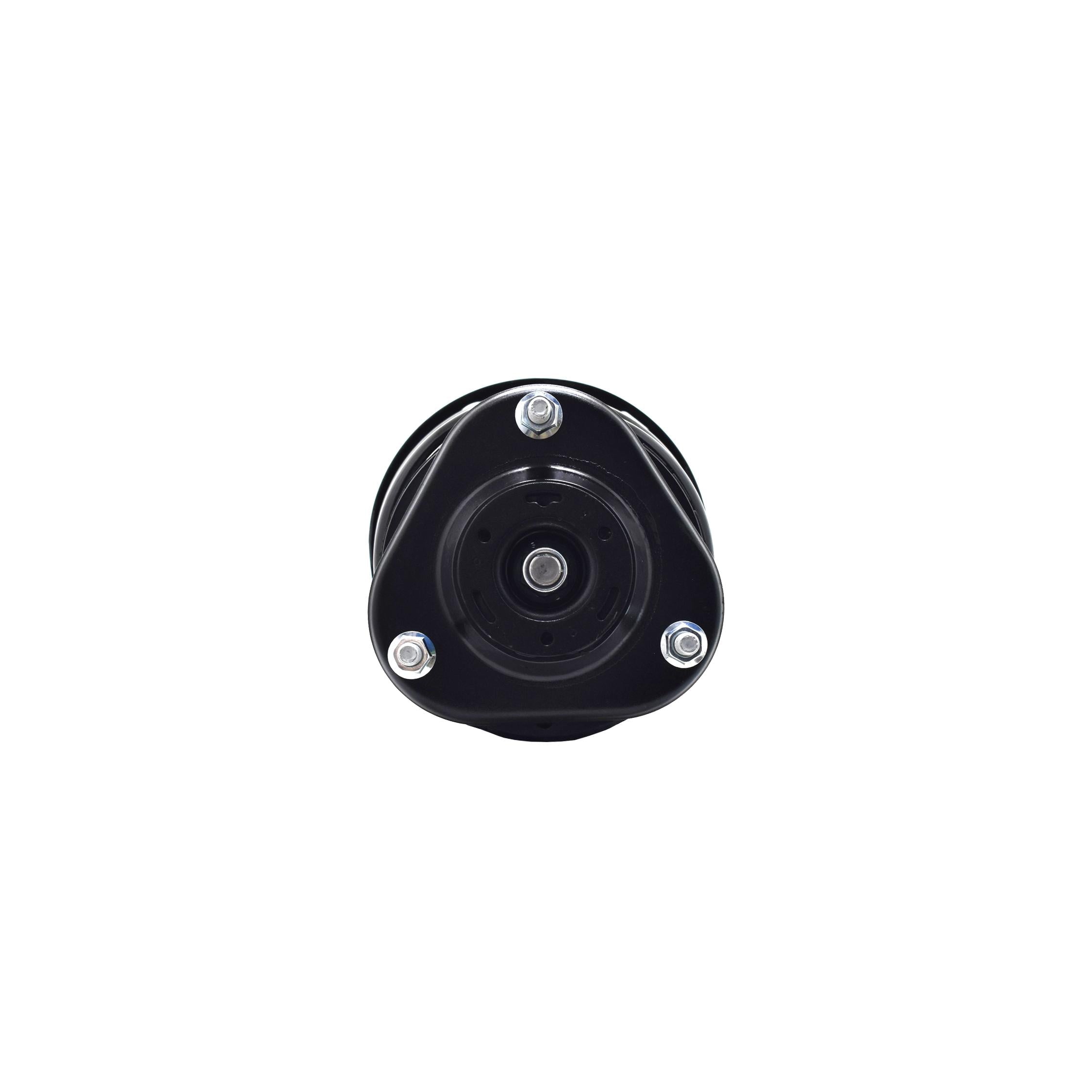 Suspension Strut and Coil Spring Assembly LS54-95801L