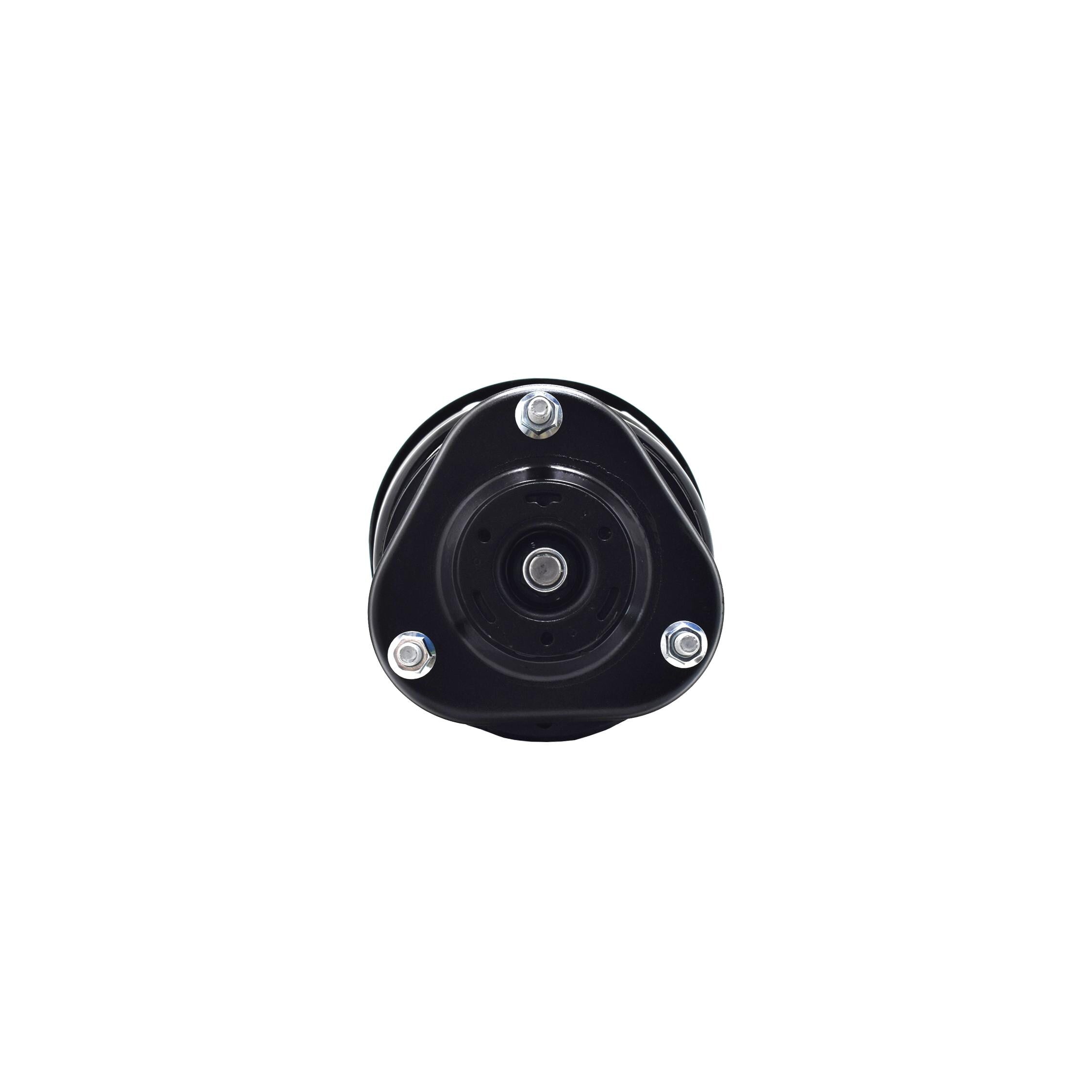 Suspension Strut and Coil Spring Assembly LS54-95801R