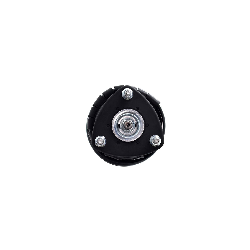Suspension Strut and Coil Spring Assembly LS54-95811R