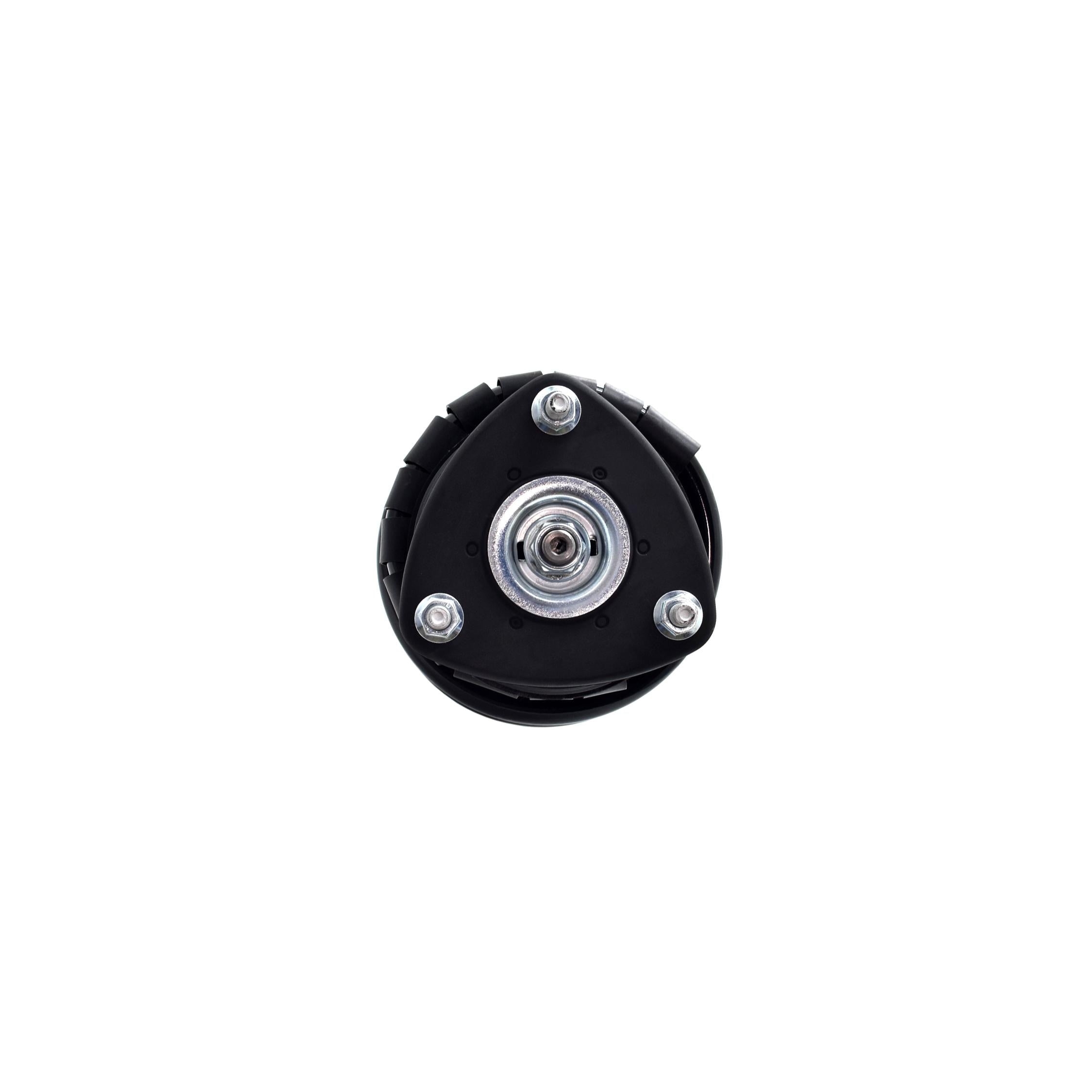 Suspension Strut and Coil Spring Assembly LS54-95811R