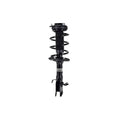 Suspension Strut and Coil Spring Assembly LS54-95831L