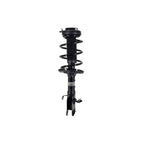 Suspension Strut and Coil Spring Assembly LS54-95831L