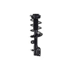 Suspension Strut and Coil Spring Assembly LS54-95831L