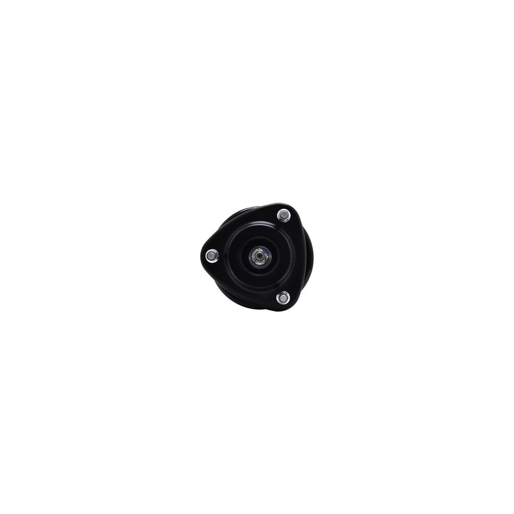 Suspension Strut and Coil Spring Assembly LS54-95831L