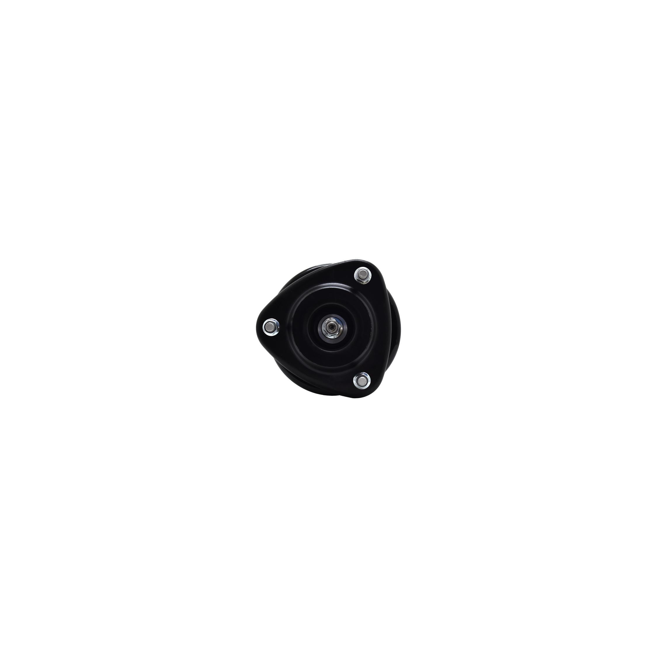 Suspension Strut and Coil Spring Assembly LS54-95831L